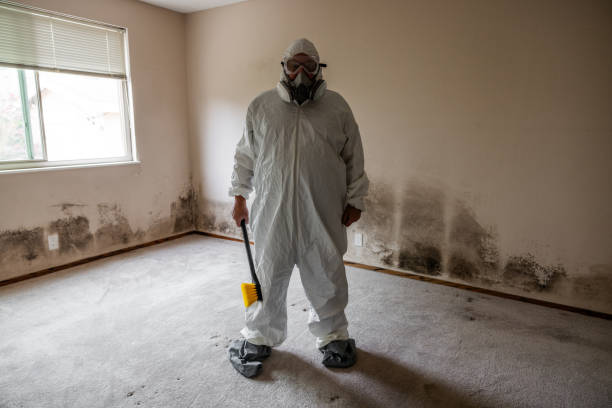 Best Mold Damage Restoration  in Arbutus, MD